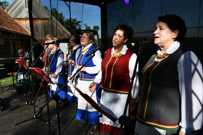 Tłumy na dożynkach w Olsztynku. Zobacz, jak wyglądało tegoroczne święto plonów