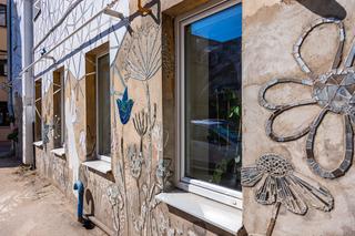 Litewski artysta zmienił swoje podwórko w galerię street artu. Zobacz zdjęcia!
