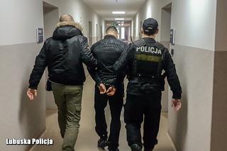 Zielonogórscy policjanci udaremnili kradzież 350 tysięcy złotych!