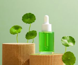 Gotu kola (wąkrota azjatycka) - działanie, właściwości lecznicze