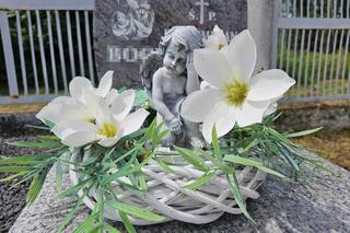 Podkarpackie. Maksiu miał tylko 6 miesięcy, kiedy został zamordowany. Grób chłopca [GALERIA]