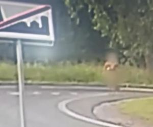 Lubin. Etiopczycy bez ubrań biegali po ulicach miasta