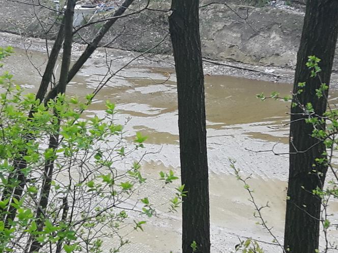 3 Nad tunelem dworca Łódź Fabryczna zbiera się woda