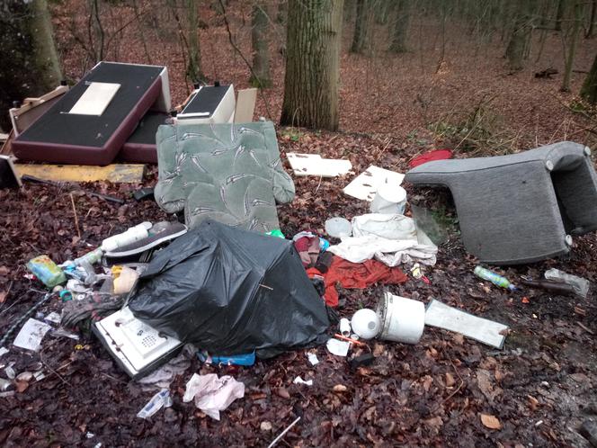 Poza starymi meblami, ktoś wyrzucił tam także sprzęt AGD.