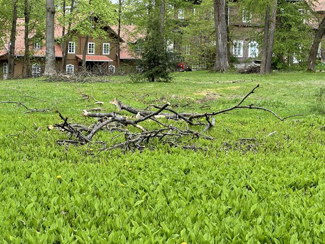 Miesiąc po wichurze, odwiedziliśmy miejsce tragedii w Rabce-Zdroju. Oto, co zobaczyliśmy