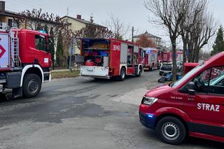 Tomaszów Lubelski. Nie żyje 2-letni chłopczyk! W piwnicy był rozłożony środek na gryzonie i owady!