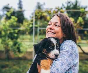 Weekend Adopcji TOZ i Mars Polska: daj miłość, zyskaj miłość