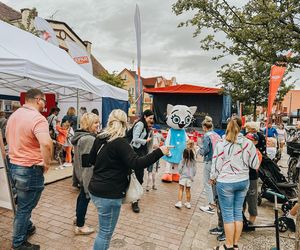 Łeba stolicą wakacyjnego czytania! „Lato z Książką 2025” już 1–3 sierpnia