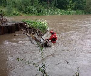 Tak wygląda sytuacja w woj. dolnośląskim