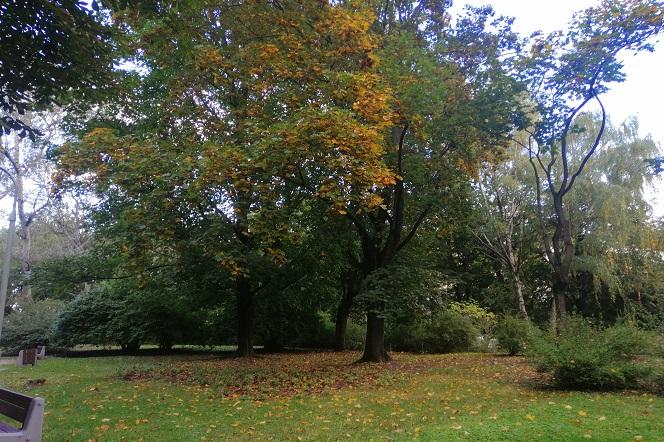Park Centralny 