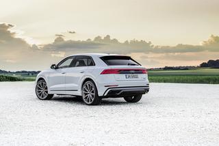  (2021) Audi Q8 60 TFSI e quattro