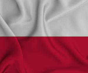 Dzisiaj dzień 2 maja. To Święto Flagi, oraz Dzień Polonii i Polaków za granicą. Co warto wiedzieć?