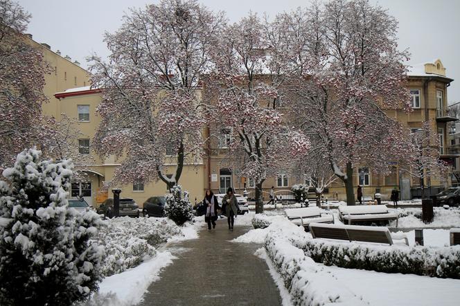 Zima w Lublinie. Tak wygląda centrum miasta po pierwszych opadach śniegu!