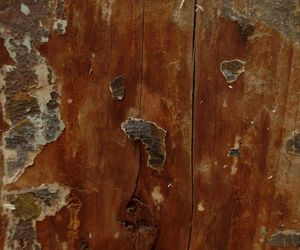 Przy remoncie Domu Ludowego odkryto cerkiew