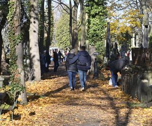 Gwiazdy kwestują na Powązkach