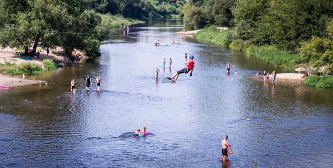 Park Dolina Wkry w Pomiechówku - spacer w koronach drzew, place zabaw, plaża