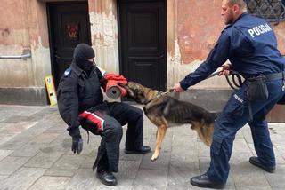 Nowy pies-policjant w Tarnowskich Górach. Ale słodziak! Kubica jest nim zachwycony