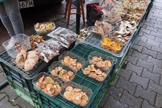 Grzyby na halach targowych w Gdyni