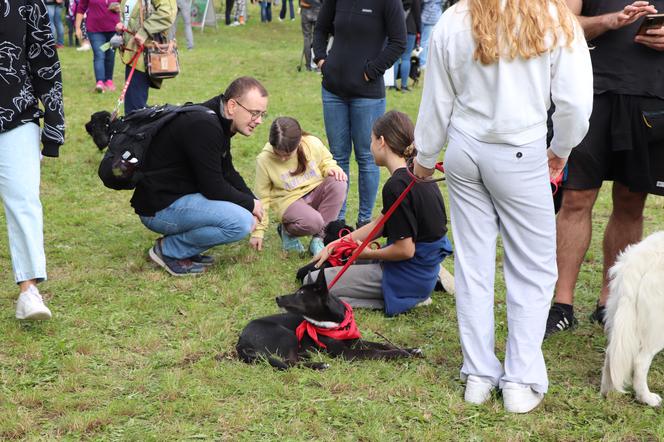 IX Piknik Przyjaciół Schroniska w Toruniu