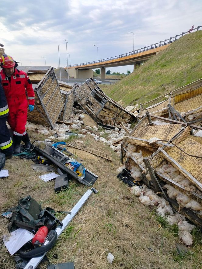 Wypadek w Elizówce. Kierowca był zakleszczony w pojeździe