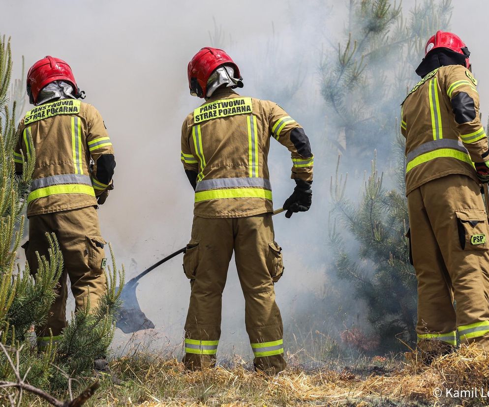 Ćwiczenia Fire Forest 2025