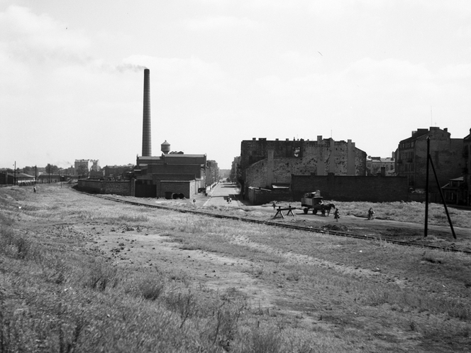 Tu pierwotnie miało biec metro! Zobacz, jakie stacje przewidywano w 1956 roku [GALERIA]