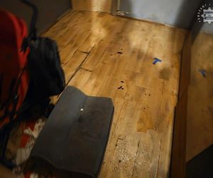 Psy przebywały w koszmarnych warunkach