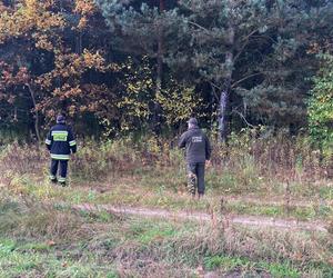 Policja szuka zaginionej Patrycji z Nalepkowic
