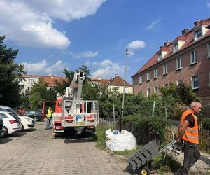 Tragiczny pożar w kamienicy w Gdańsku-Wrzeszczu