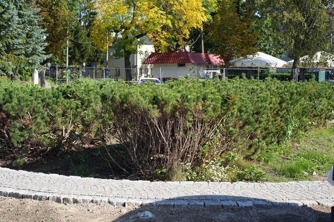Centrum Węgorzewa przechodzi metamorfozę. Widać już efekty prac
