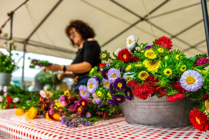 Wielki piknik kwietny finał 42. edycji konkursu „Warszawa w kwiatach”
