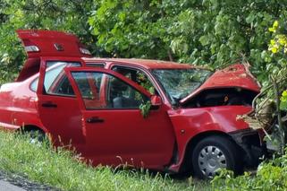 Potworna śmierć. Auto roztrzaskało się na drzewie. Wypadek w Wólce Radzymińskiej