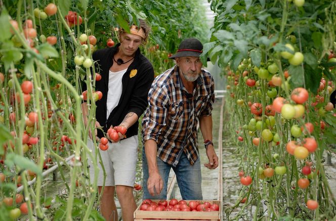 Farma 4. Bronisław Bandyk "Bandi"