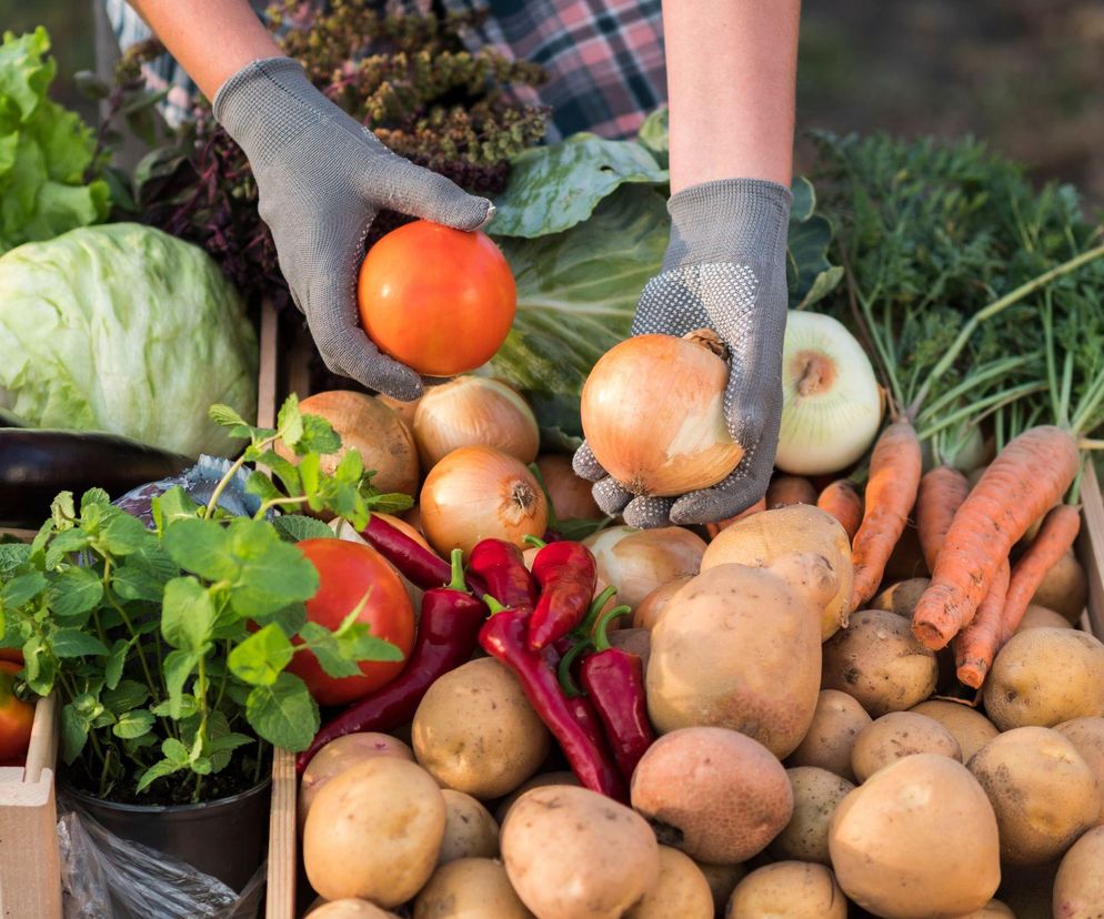 Dietetyczka ostrzega. Oto 2 warzywa, które mogą okazać się trujące