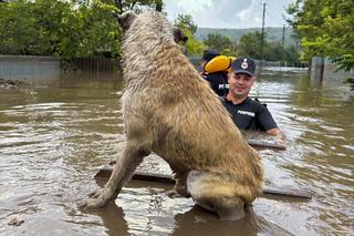 Ulewy i powodzie już zabijają! Cztery ofiary śmiertelne w Rumunii