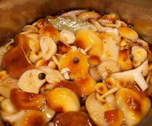 Jak długo gotować grzyby? Prosty patent na zachowanie smaku i aromatu grzybów leśnych