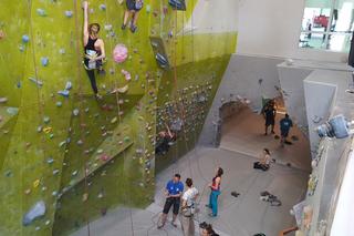 Akademickie Mistrzostwa Polski we wspinaczce sportowej