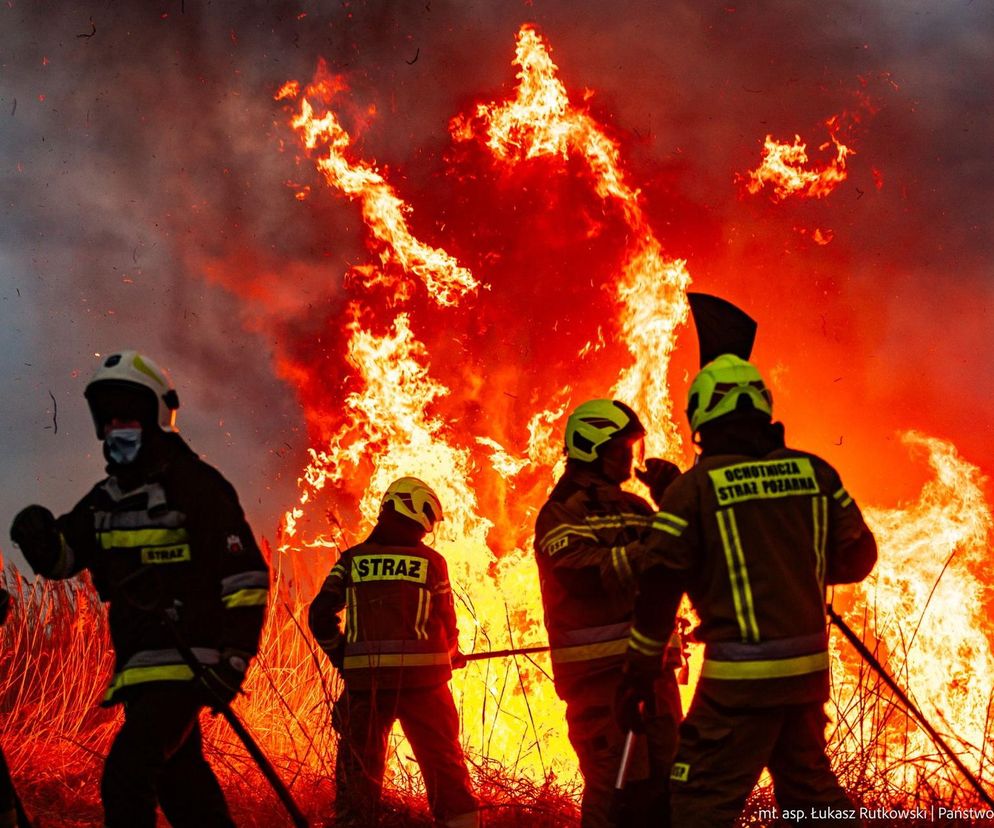 Biebrza wciąż płonie! Czy uda się opanować żywioł? Najnowsze wieści z Biebrzańskiego Parku Narodowego