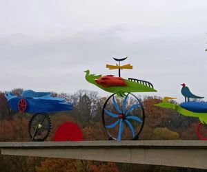 Ogniste Ptaki w Parku Kasprowicza w Szczecinie