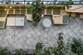 Zielona strefa Zero Stress - zdjęcia nowego wnętrza Wydziału Prawa i Administracji Uniwersytetu Gdańskiego