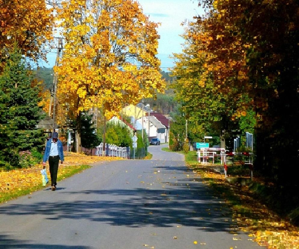 Gliniany w Świętokrzyskiem. Przez tą wioskę w XVIII wieku przechodziły wojska króla Szwecji