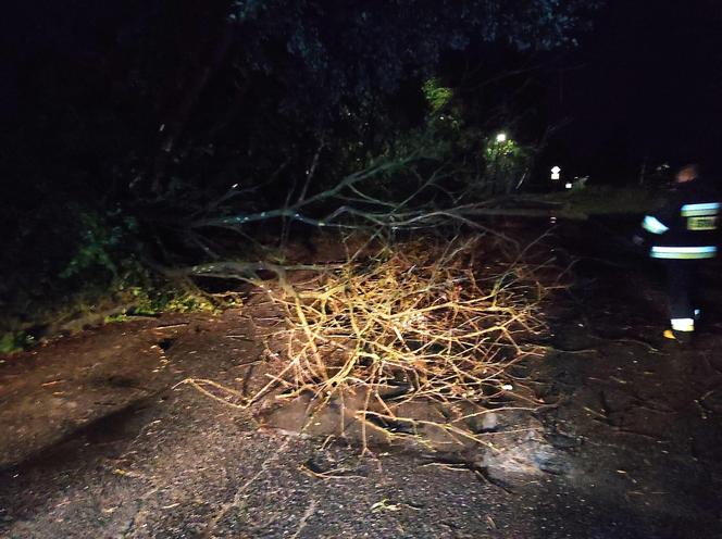 Burzowa noc w Śląskiem. Blisko 10 tys. osób bez prądu. Piorun popalił dom 