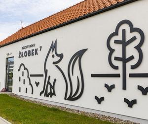 Edukacja estetyczna najmłodszych: metalografiki i murale na trójmiejskich szkołach, przedszkolach, żłobkach