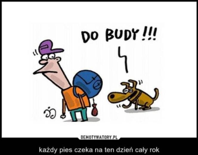 Memy na początek roku szkolnego 2023/24. Uczniowie śmieją się z powrotu do szkół