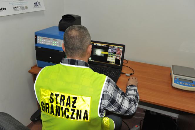 W Kołobrzegu Straż Graniczna zatrzymała mężczyznę z podrobionym, ukraińskim prawo jazdy.