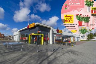 Kwiaty na Dzień Matki w Biedronce. Ceny od 9,99 zł!