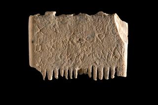 3700 lat temu Fenicjanie posługiwali się alfabetem i nawet bogatym doskwierały… wszy