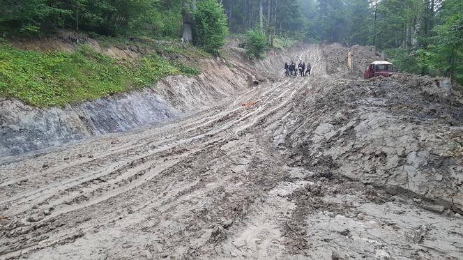 Inicjatywa Dzikie Karpaty - protest w Łodzi