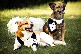 Krzysztof i Karolina Skiba