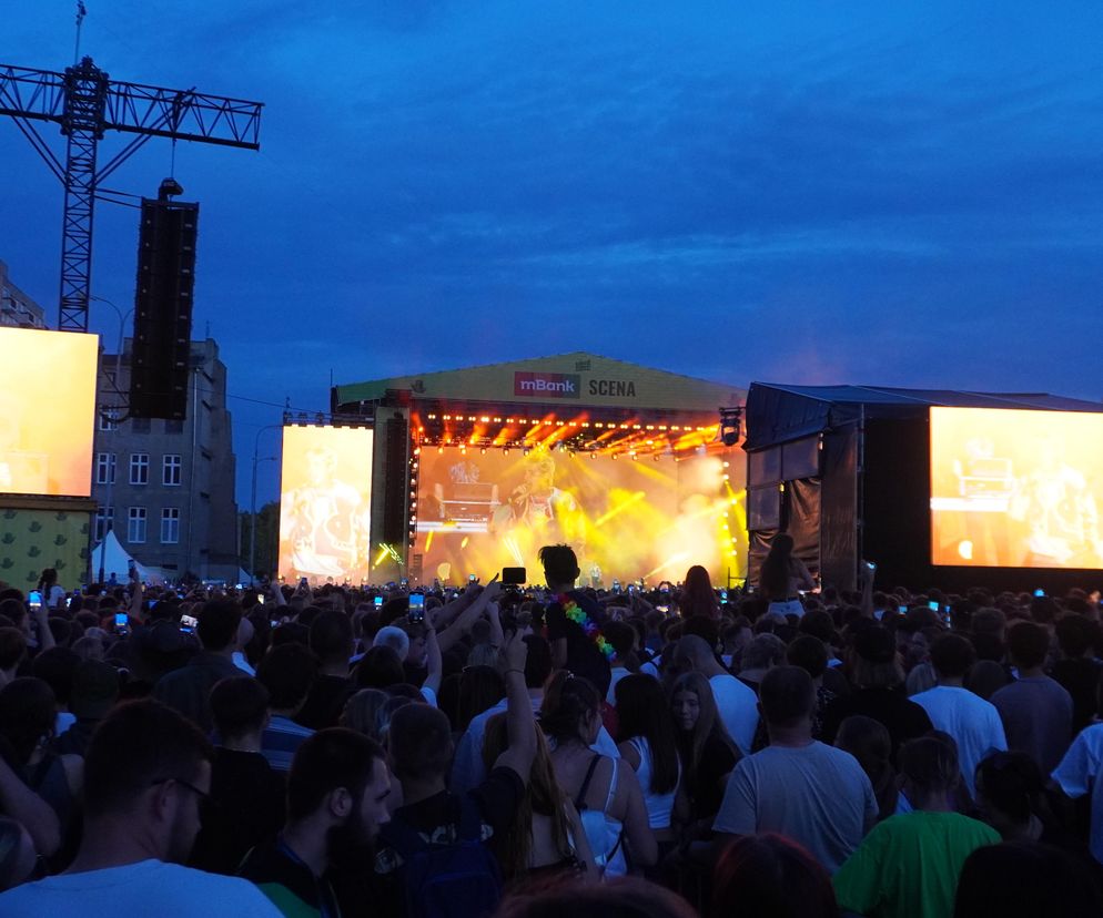 Łódź Summer Festival 2025. Ogłoszono kolejnych artystów, którzy pojawią się na Łódzkich Błoniach